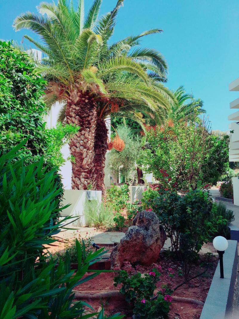 Amnissos Hotel Pigianos Kampos  Екстериор снимка